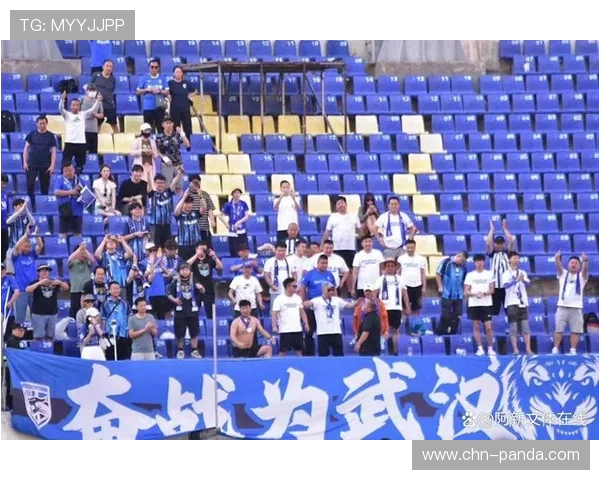 武汉三镇补强有限，新赛季保级压力增大